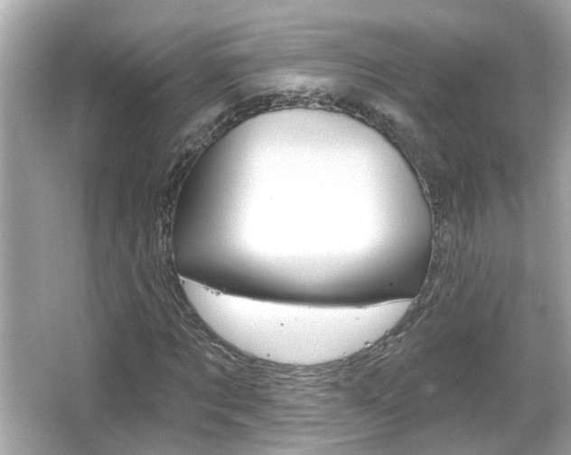 X0000066490869200603170921
