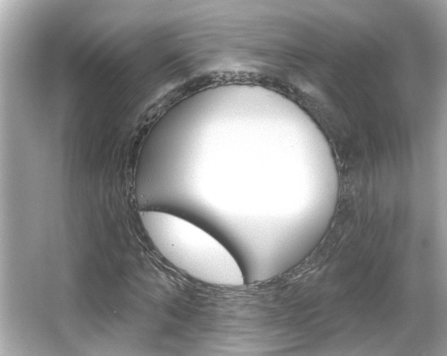 X0000066490870200603170921