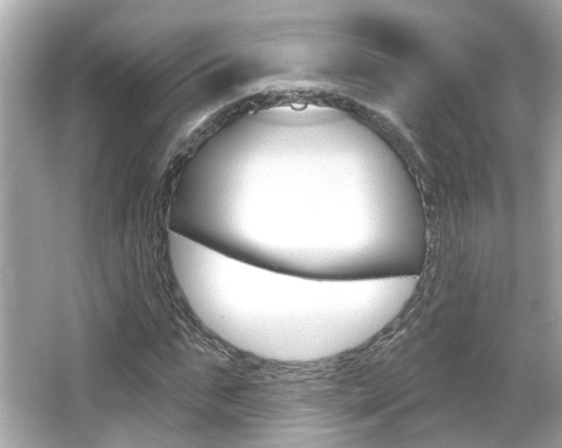 X0000066490871200603170921