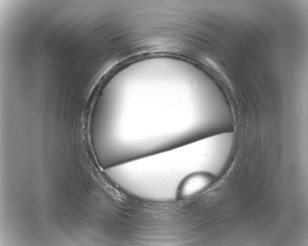 X0000066490875200603170921