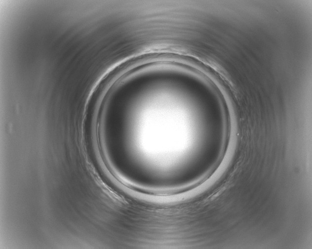 X0000066490880200603170921