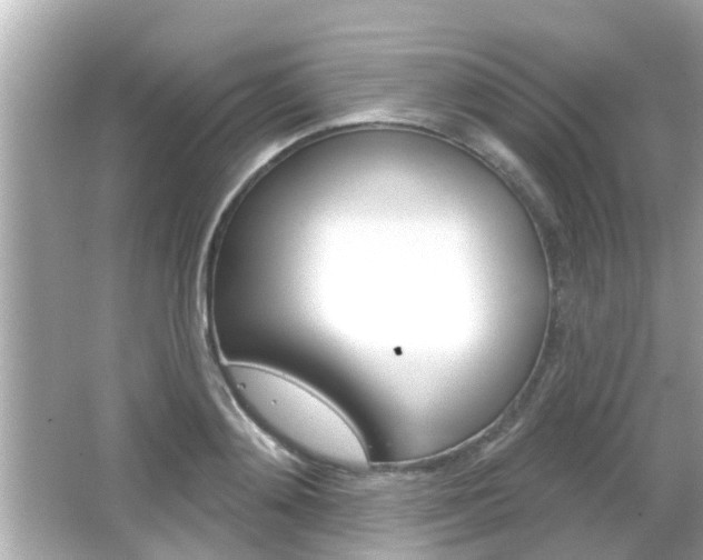 X0000066490892200603170921