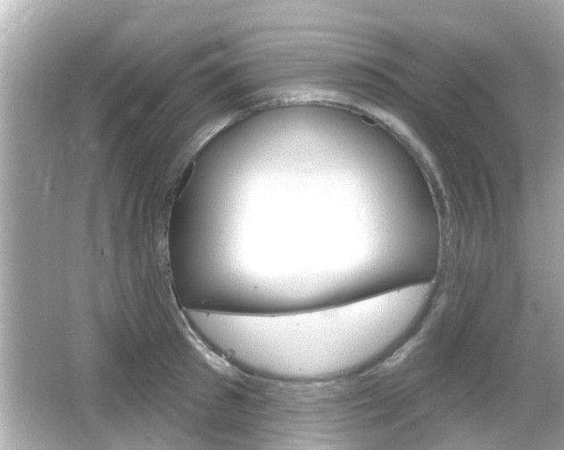 X0000066490897200603170921