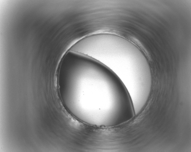 X0000066490900200603170921