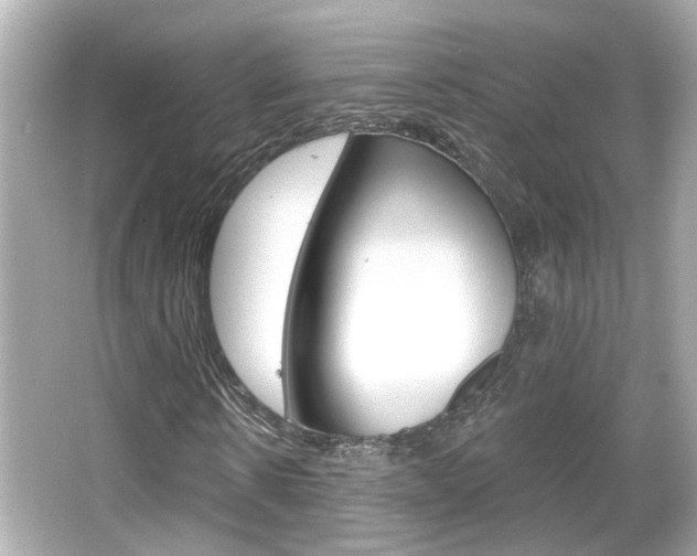 X0000066490914200603170920