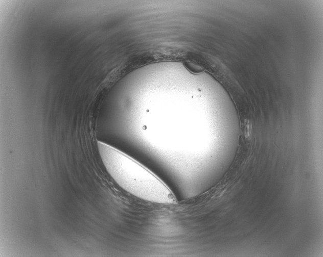 X0000066490915200603170920