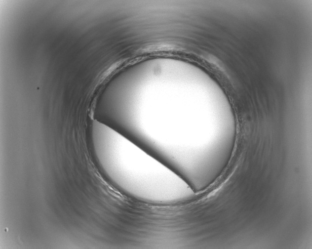 X0000066490921200603170920