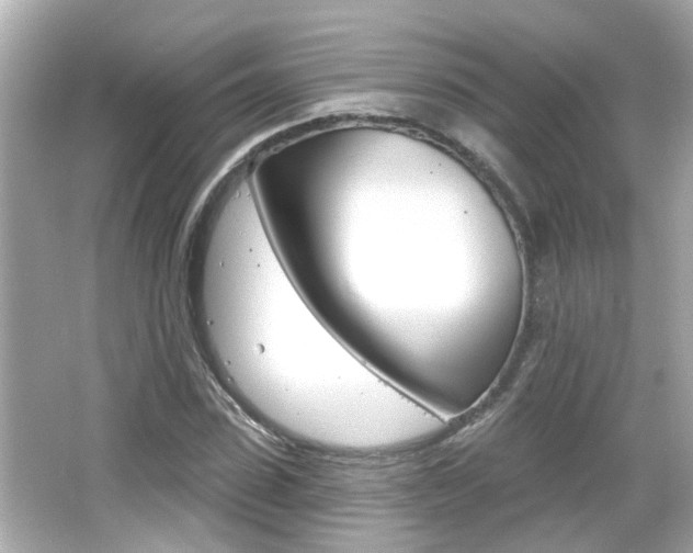 X0000066490923200603170920