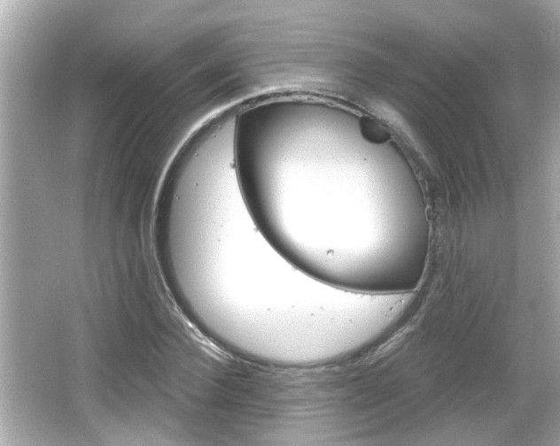 X0000066490924200603170920