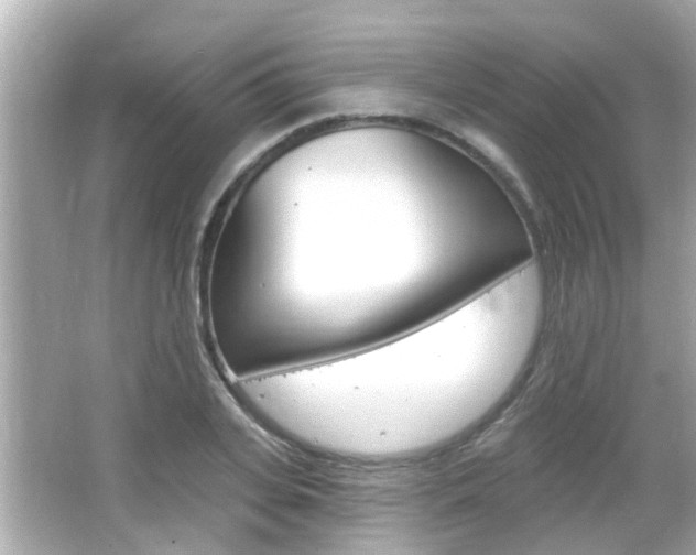 X0000066490935200603170920