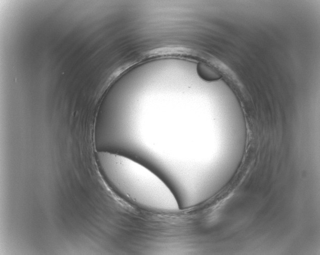 X0000066490937200603170920