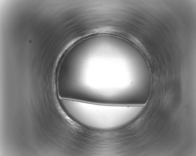 X0000066490939200603170920