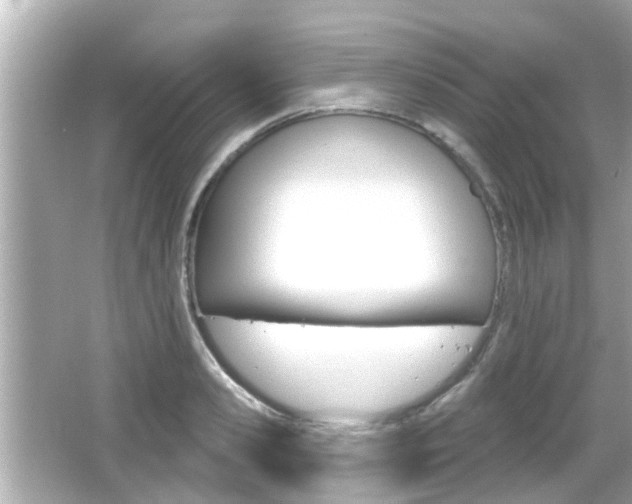 X0000066490941200603170920