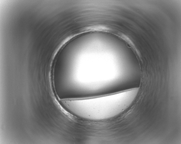 X0000066490947200603170920