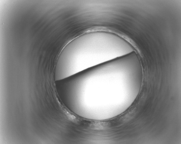 X0000066490953200603170920
