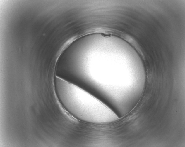 X0000066490954200603170920