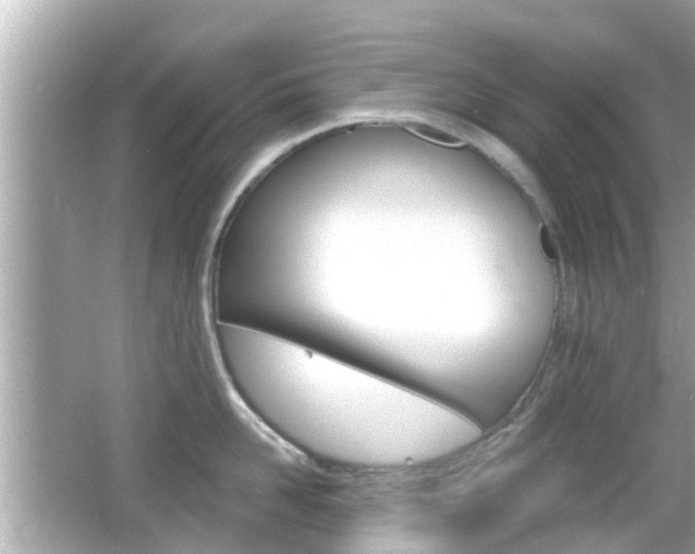 X0000066490958200603170920