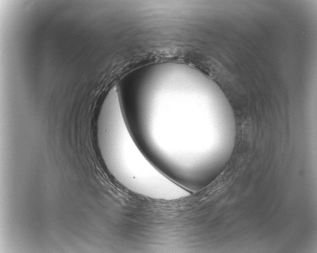 X0000066490961200603170920