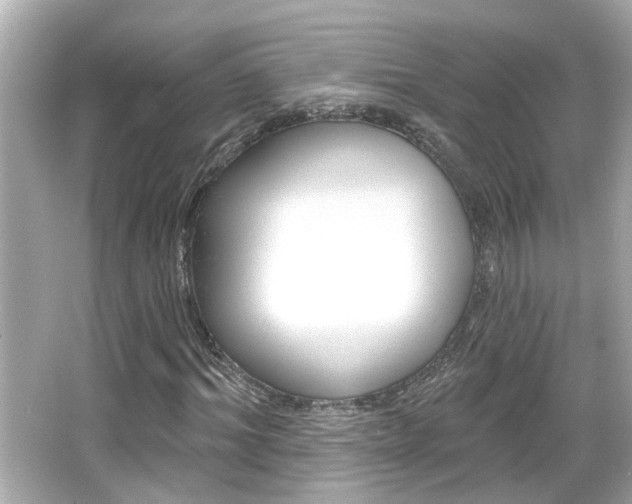 X0000066490964200603170920