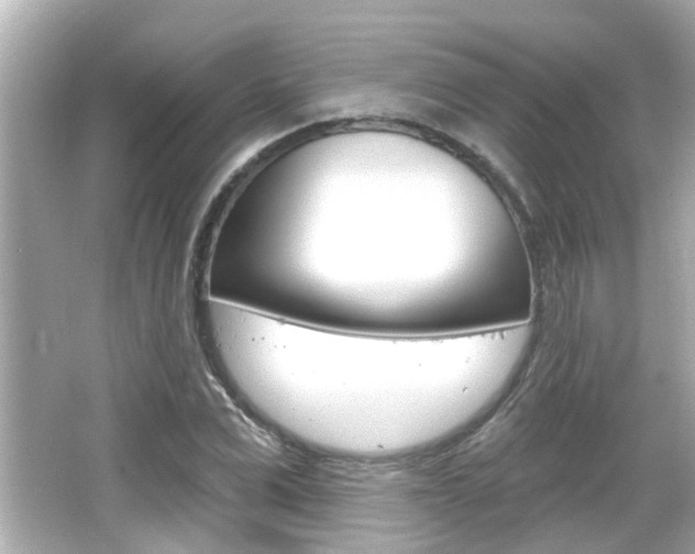X0000066490975200603170919