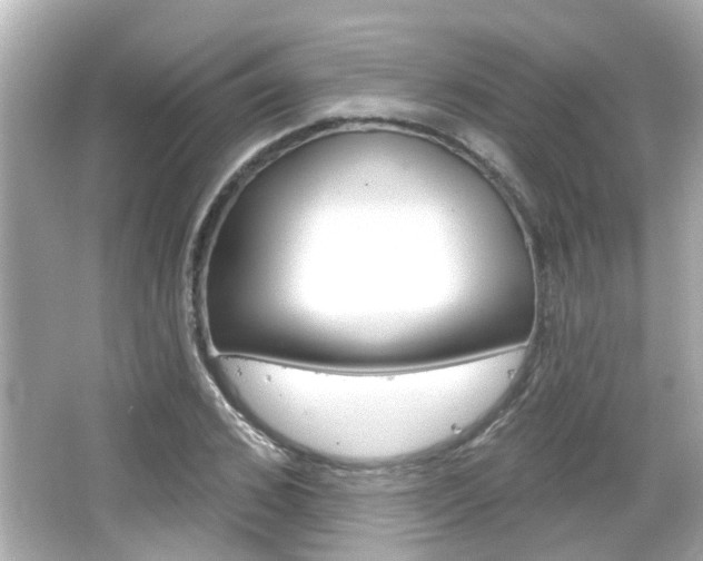 X0000066490976200603170919