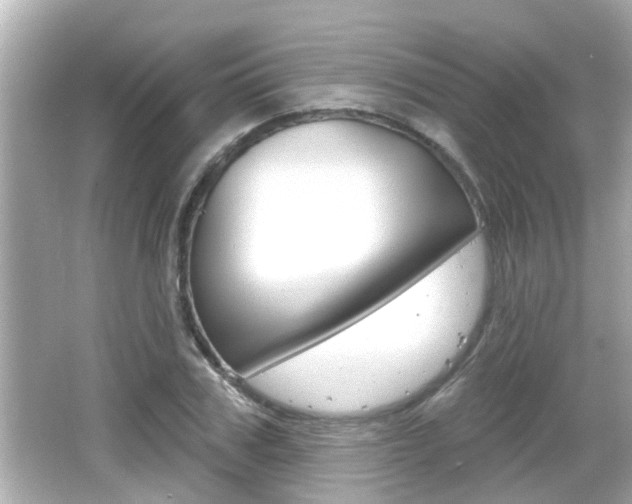 X0000066490979200603170919
