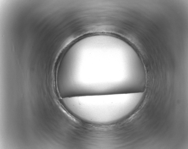 X0000066490982200603170919
