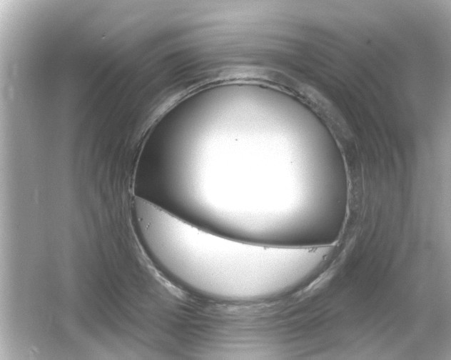 X0000066490985200603170919