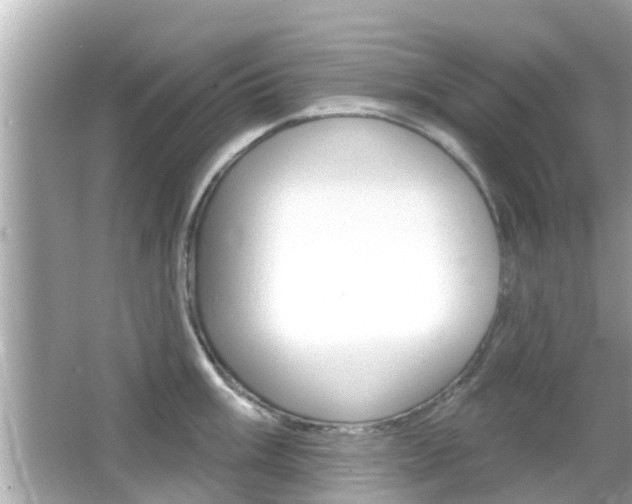 X0000066491003200603170919