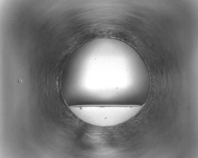 X0000066491013200603170918