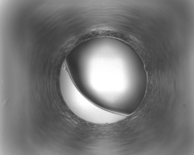 X0000066491014200603170918