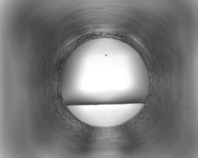 X0000066491015200603170918