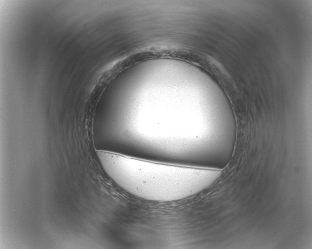 X0000066491016200603170918
