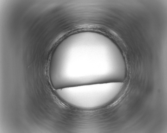 X0000066491017200603170918