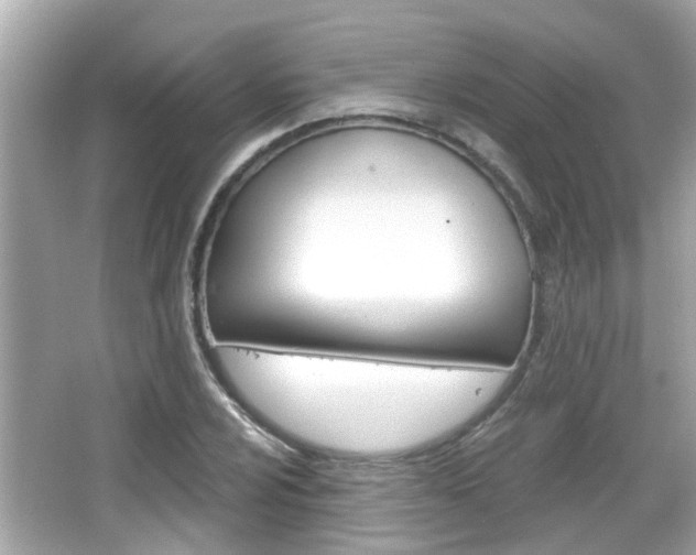 X0000066491024200603170918