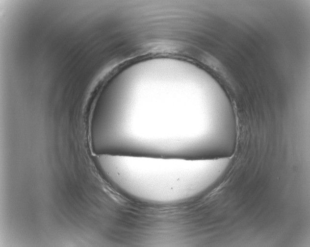 X0000066491027200603170918