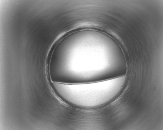 X0000066491029200603170918