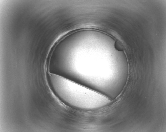 X0000066491032200603170918