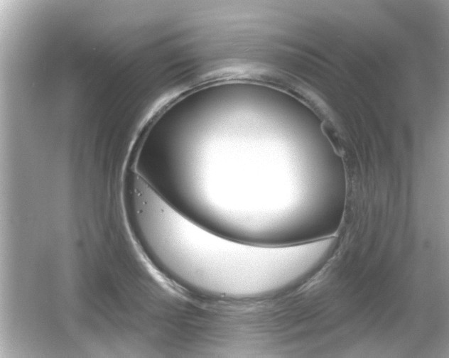 X0000066491034200603170919