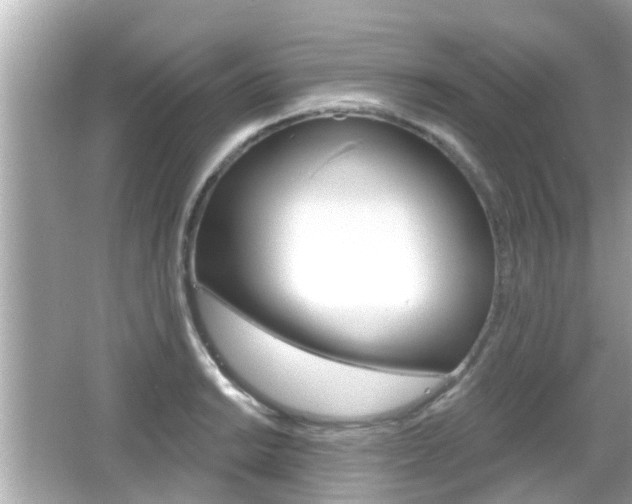 X0000066491038200603170919