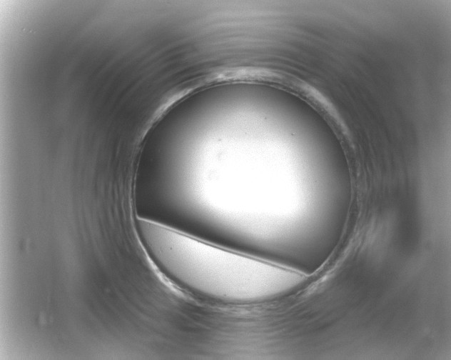 X0000066491041200603170919