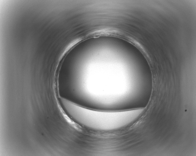 X0000066491042200603170919