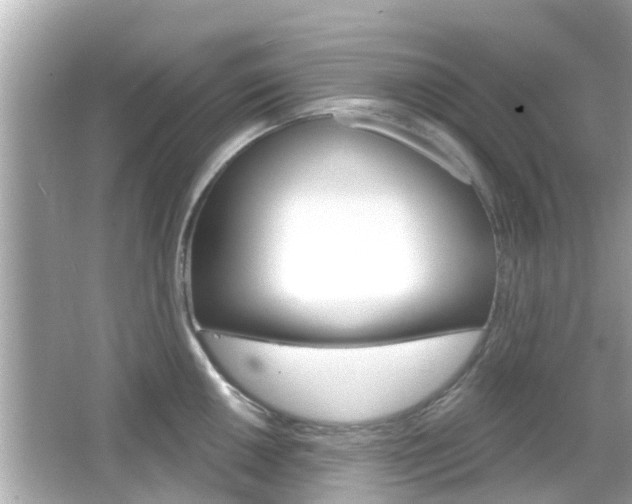 X0000066491050200603170919