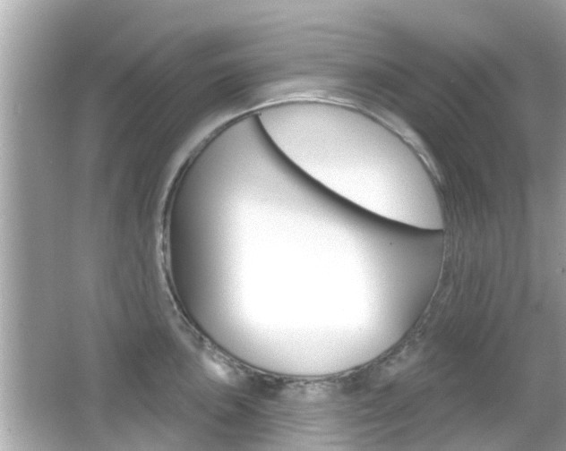 X0000066491051200603170919