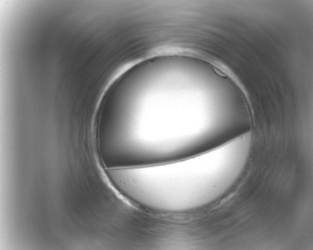 X0000066491053200603170919