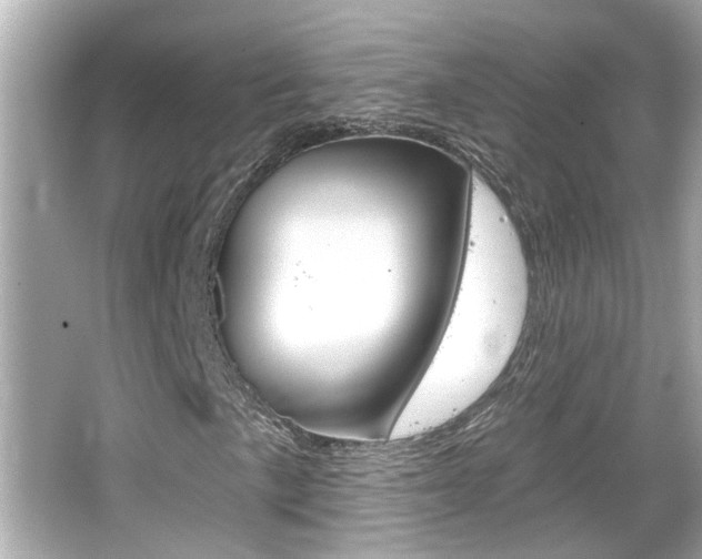 X0000066491057200603170918