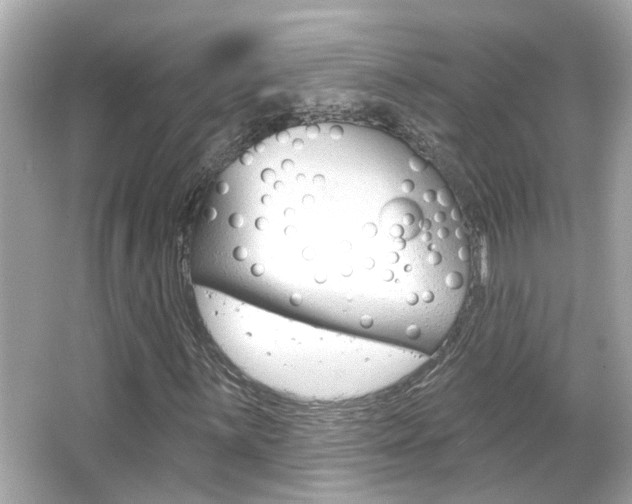 X0000066491059200603170918