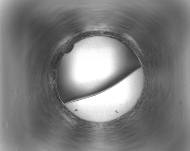 X0000066491064200603170918