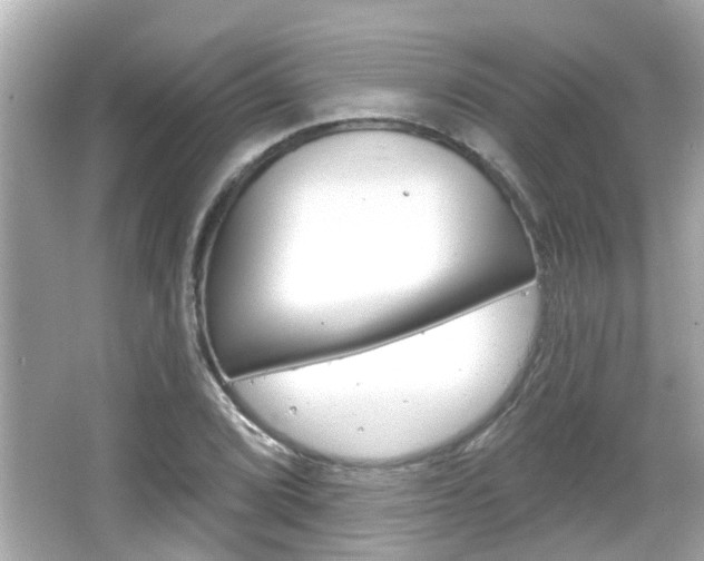 X0000066491072200603170918