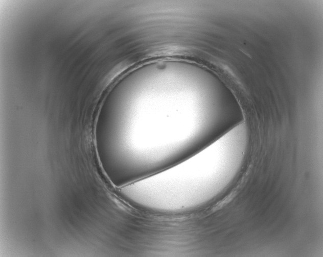X0000066491073200603170918